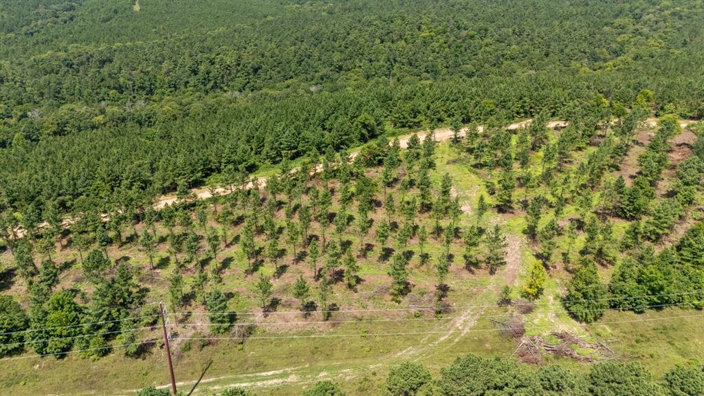 Land in Broken Bow 4