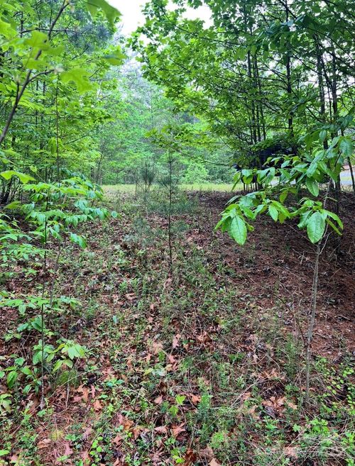 0000 Conroy Ct, Collettsville, NC, 28611 | Card Image