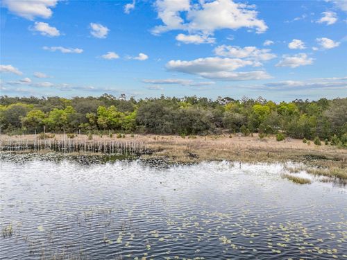 TBD N County Road 315, Melrose, FL, 32666 | Card Image
