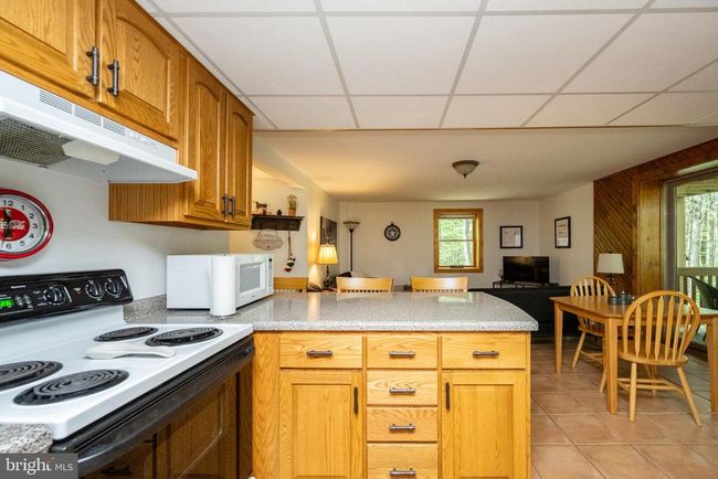532 Pine Grove Rd, House other with 4 bedrooms, 4 bathrooms and null parking in LONACONING MD | Image 71