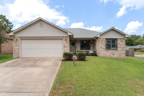 295 Niagra Falls, Conway, AR, 72032 | Card Image