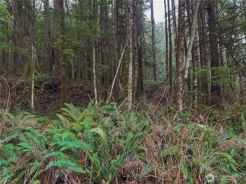 0 TR 15 Salal Dr, Copalis Beach, WA, 98535-9702 | Card Image