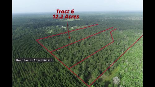 tract-6-6851 Private Road 8235, Buna, TX, 77612 | Card Image