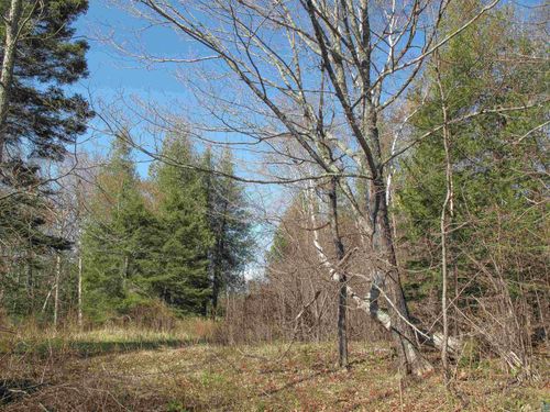 YYY Big Cedar Trl, Lutsen, MN, 55612 | Card Image