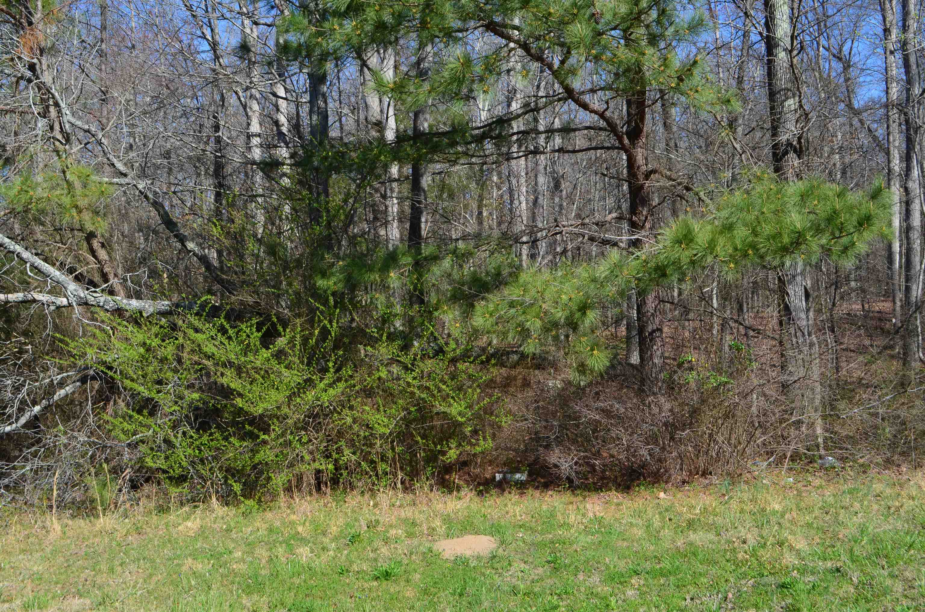 Land in Lexington 5