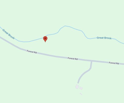 135 Forest Rd, Alstead, NH, 03602-3421 | Card Image