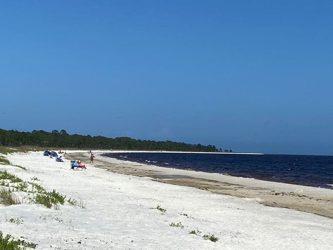 48 - 1843 Hwy 98 W, Home with 0 bedrooms, 0 bathrooms and null parking in Carrabelle FL | Image 5