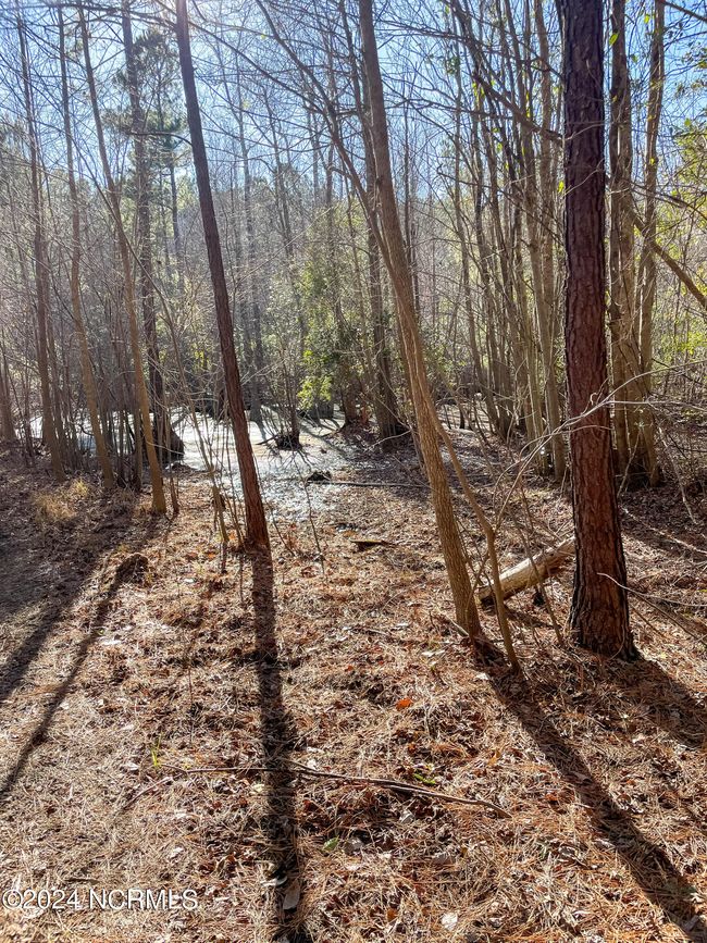 00 Sykes Town Rd, Home with 0 bedrooms, 0 bathrooms and null parking in Currie NC | Image 58