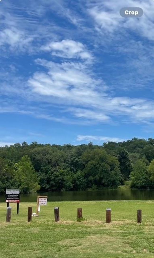 Let's go fishing ! | Image 19
