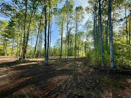 1155 E Solaris Way, Kasson Township, MI, 49664 | Card Image