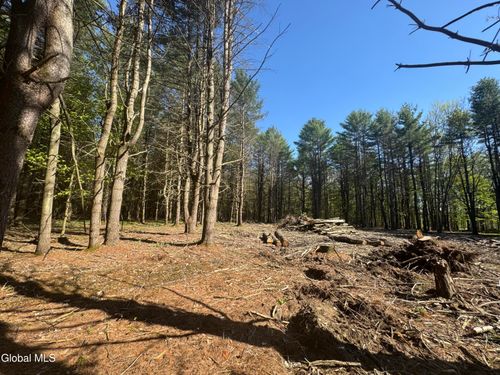 L33.05 Glimmerglen Road, Cooperstown, NY, 13326 | Card Image