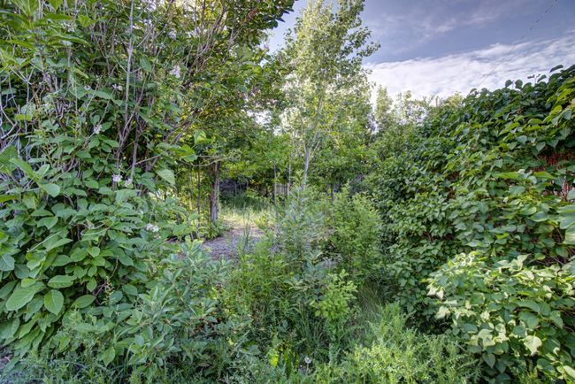 317 Dufferin St, Home with 0 bedrooms, 0 bathrooms and null parking in Granum AB | Image 6