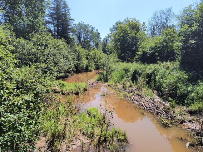 16499 Hwy 45, Home with 0 bedrooms, 0 bathrooms and null parking in Bruce Crossing MI | Image 15