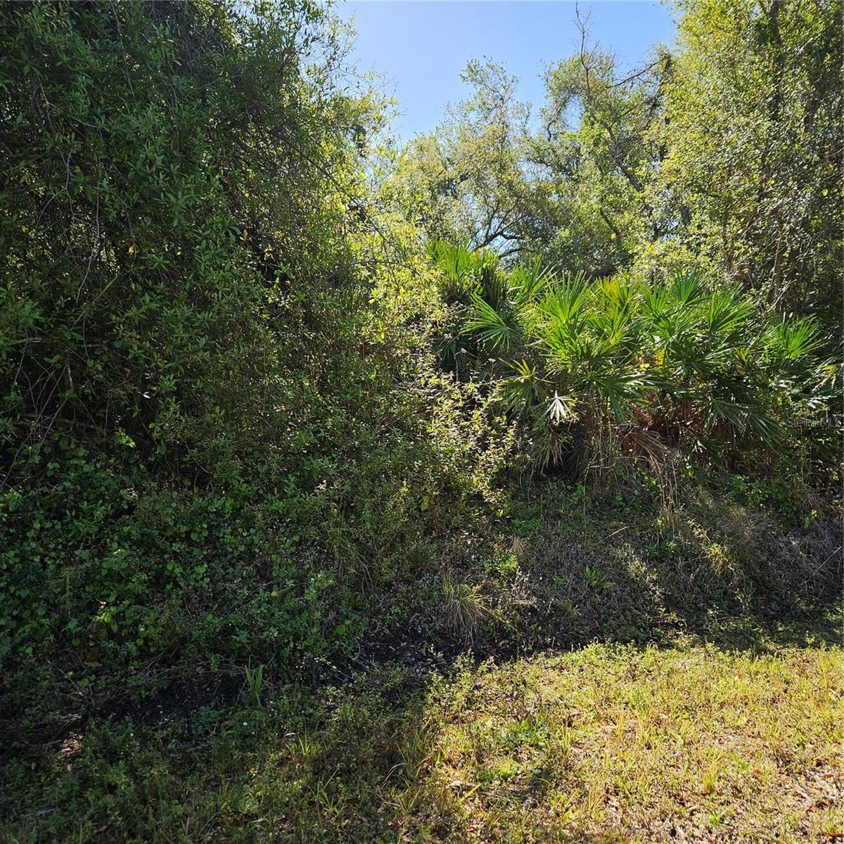 Land in NORTH PORT