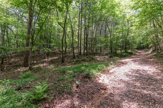 26.18 AC Green Road, Home with 0 bedrooms, 0 bathrooms and null parking in Young Harris GA | Image 8