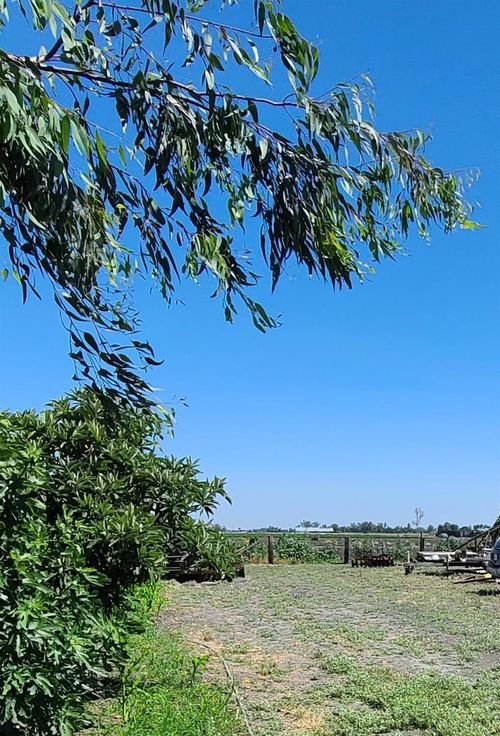 8794 Blossom Ave, Dos Palos, CA, 93620-9624 | Card Image