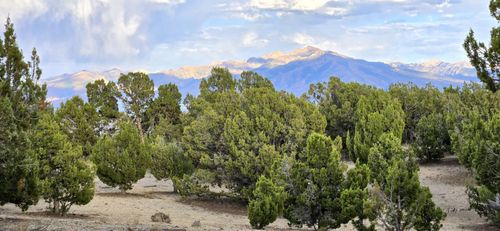 816 Hamilton Stage Rd, Spring Creek, NV, 89815-8823 | Card Image