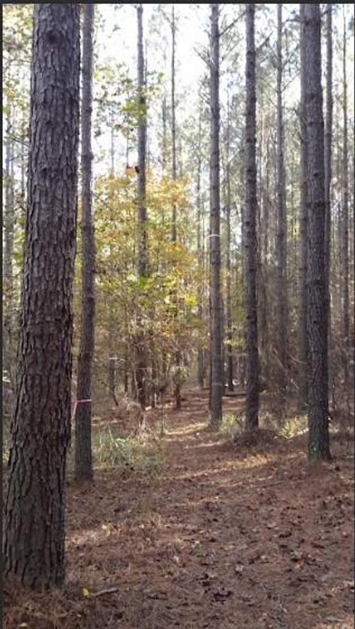 1047 Ponder Trammell Rd, Juliette, GA, 31046-4705 | Card Image