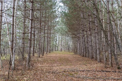 40 Acres Adams & Jones Road, Bruce, WI, 54819 | Card Image