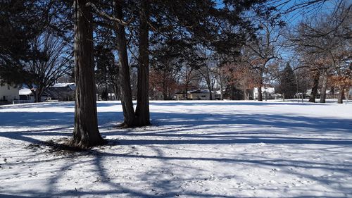 34x 3rd St Nw, Forest Lake, MN, 55025-1114 | Card Image