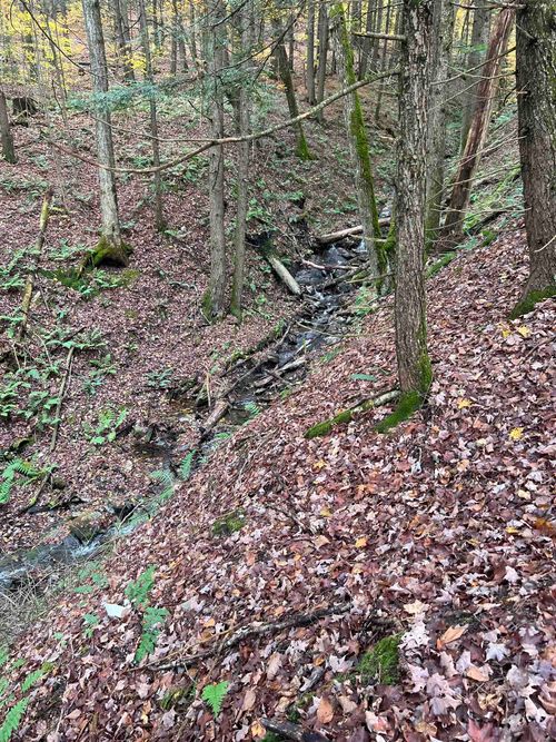 1901 Royalton Hill Rd, South Royalton, VT, 05068-5449 | Card Image