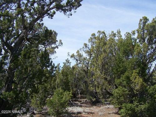 5377 N Downpour Row, Williams, AZ, 86046-8759 | Card Image