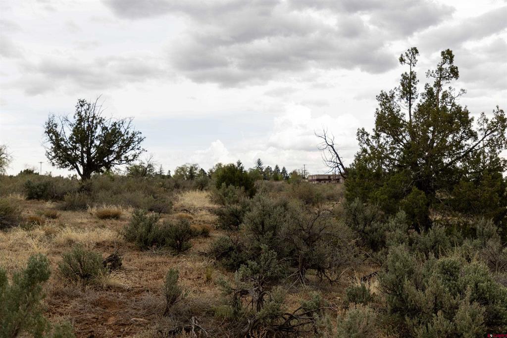 Land in Cortez 4