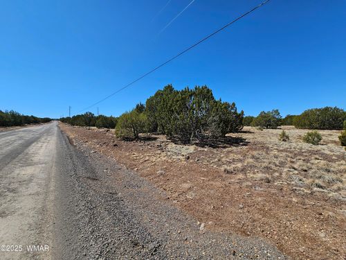 105 Co Rd Road, Vernon, AZ, 85940 | Card Image
