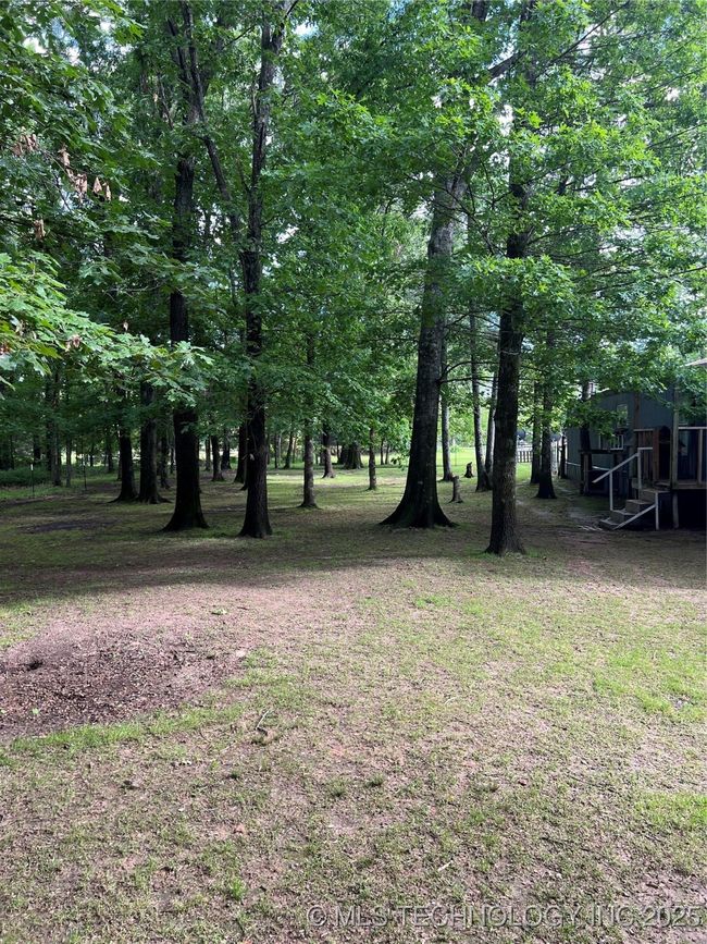 View of green lawn | Image 41