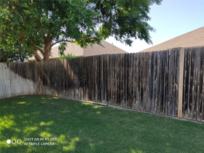 View of yard | Image 12
