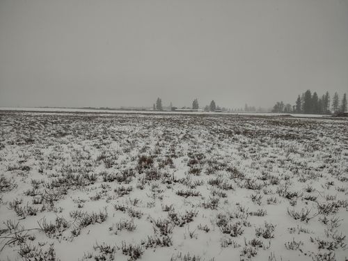 X Mason Rd Rd, Deer Park, WA, 99006 | Card Image