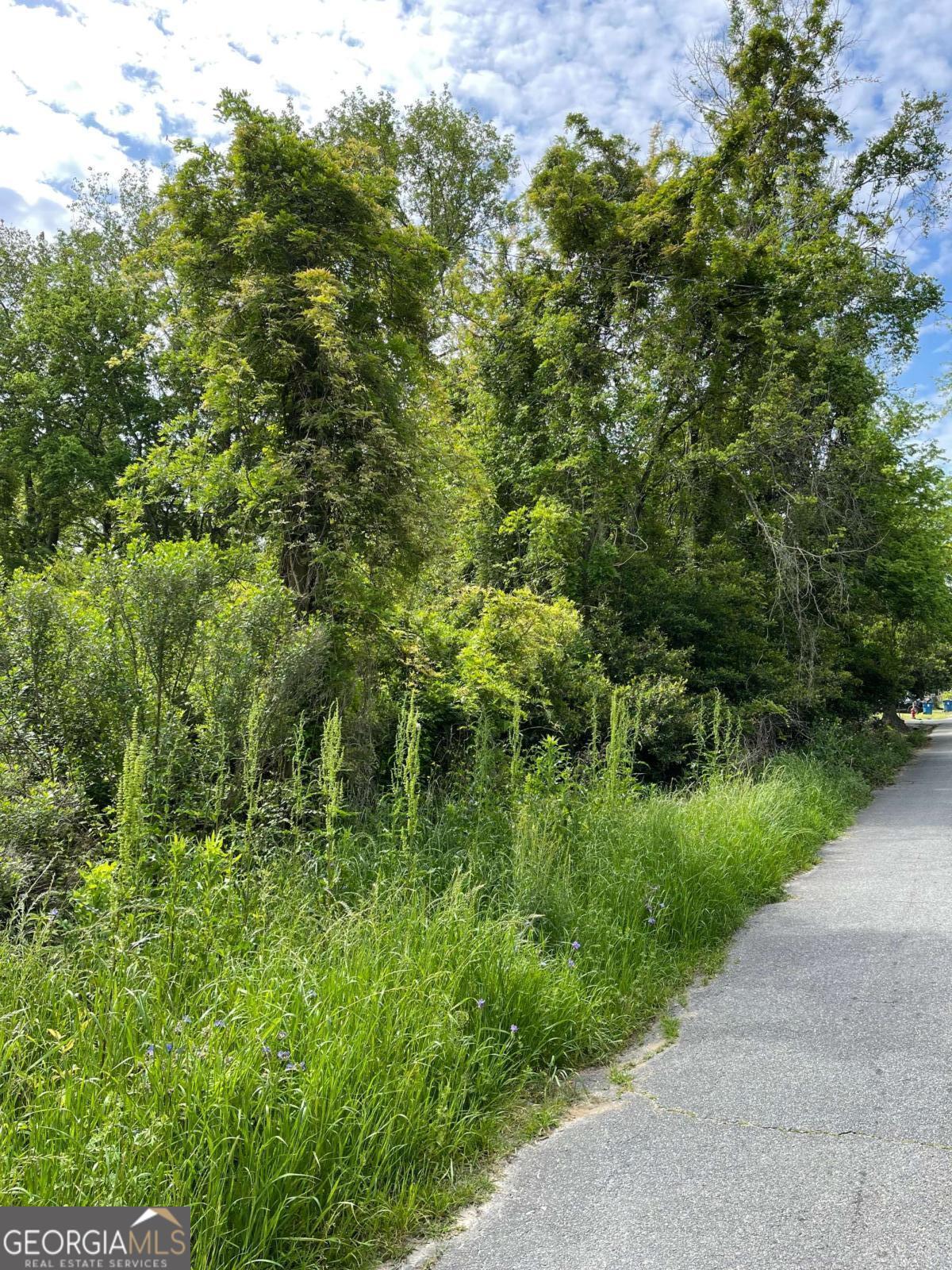 Land in Vidalia 5