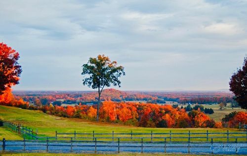 160 Hagood Dr, Somerville, AL, 35670-3745 | Card Image