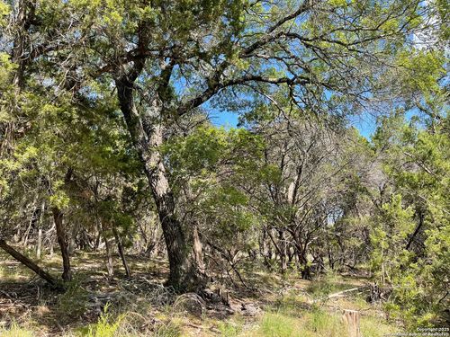 LOTS 1-7 Park Road 37, Lakehills, TX, 78063 | Card Image