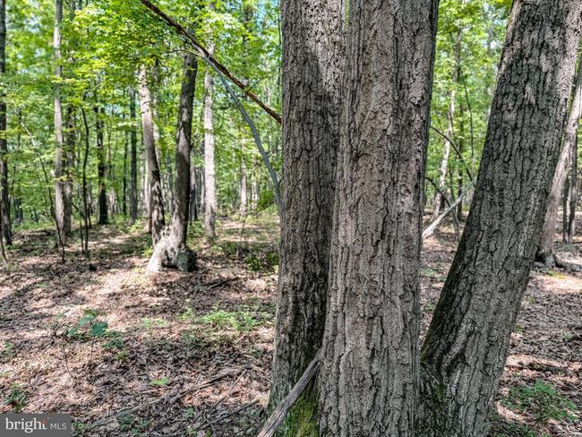 0 Heisey Rd, Home with 0 bedrooms, 0 bathrooms and null parking in SHIPPENSBURG PA | Image 27
