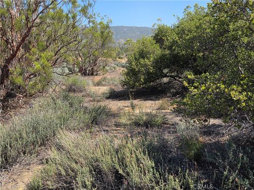 56941 Cain, Anza, CA, 92539 | Card Image