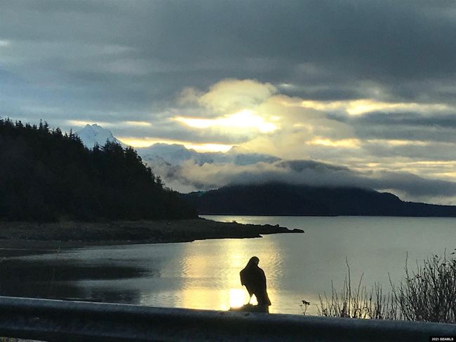14 Chilkat Trl, House other with 4 bedrooms, 3 bathrooms and null parking in Haines AK | Image 8