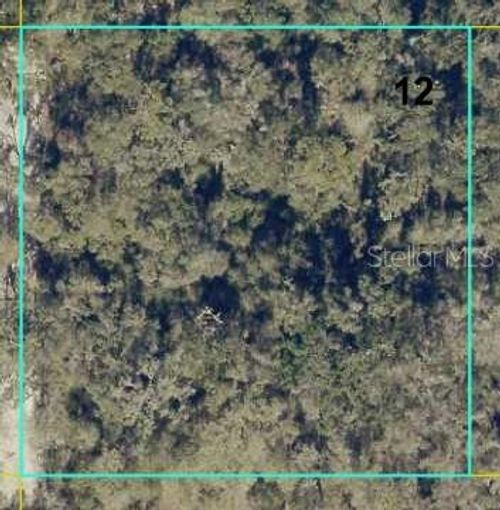 12146 Sw 41st Way, Webster, FL, 33597 | Card Image