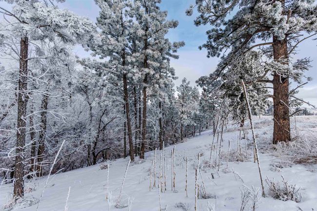 Lot 3 Niobrara Dr, Home with 0 bedrooms, 0 bathrooms and null parking in Whitewood SD | Image 4
