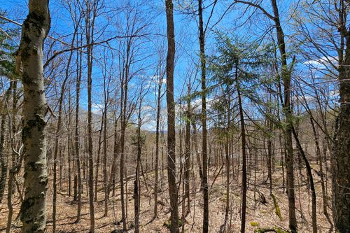 00000 Palisades Rd W, Old Forge, NY, 13420 | Card Image