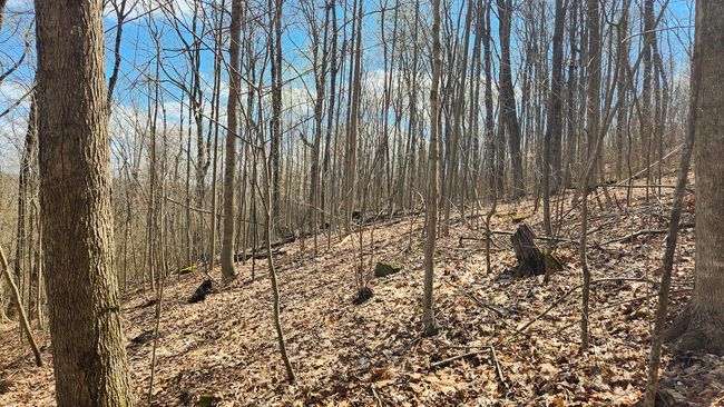 TRACT-2-PIKE-LAKE-GETAWA - 0 Pike Lake Rd, Home with 0 bedrooms, 0 bathrooms and null parking in Bainbridge OH | Image 32