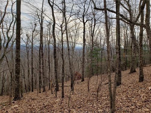8242 Cox Mountain Pt, Big Canoe, GA, 30143 | Card Image