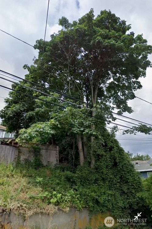 809 26th Ave E, Seattle, WA, 98112-4113 | Card Image