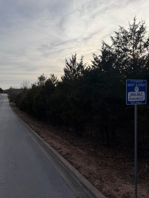 000 Arlene Dr, Branson, MO, 65616 | Card Image