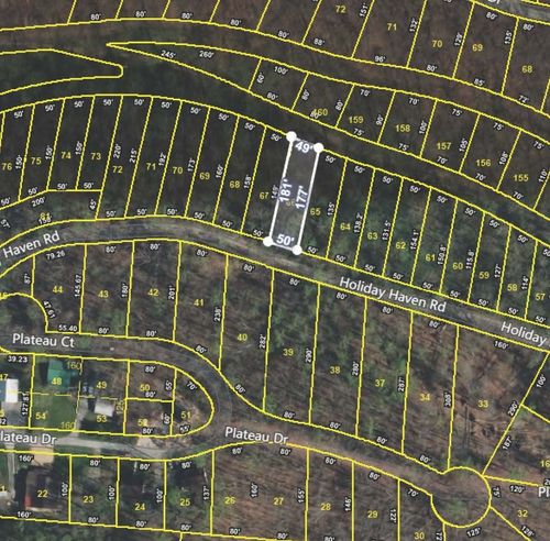 0 Holiday Haven Rd, Smithville, TN, 37166 | Card Image