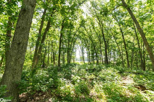 TBD Highway J3t, Unionville, IA, 52594 | Card Image