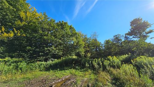 00 Rowsam Rd, Lowville, NY, 13367 | Card Image