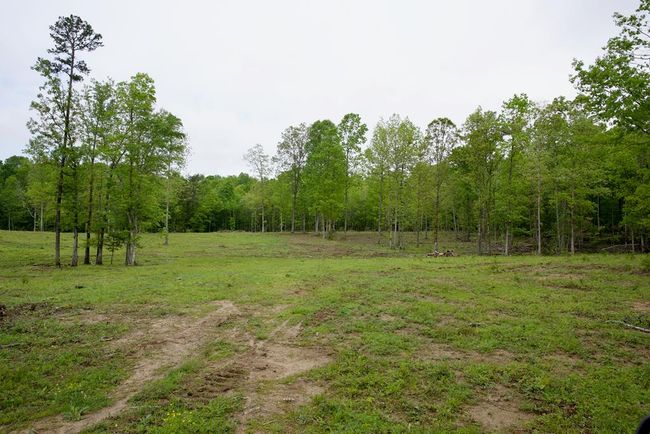 40.46AC Barker Cove Loop, Home with 1 bedrooms, 1 bathrooms and null parking in Palmer TN | Image 46