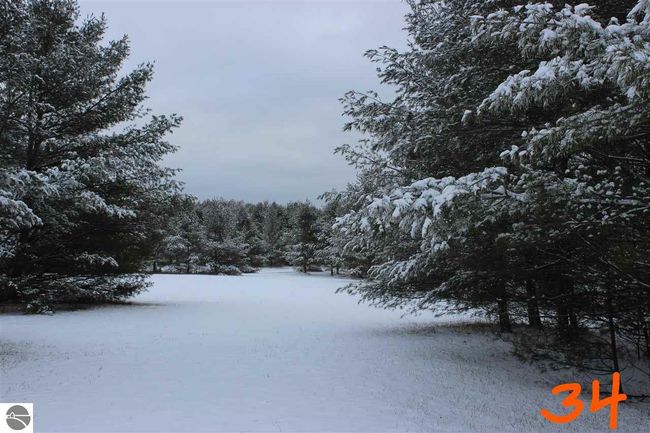 2161 Fox Run Rd, Home with 0 bedrooms, 0 bathrooms and null parking in West Branch MI | Image 6