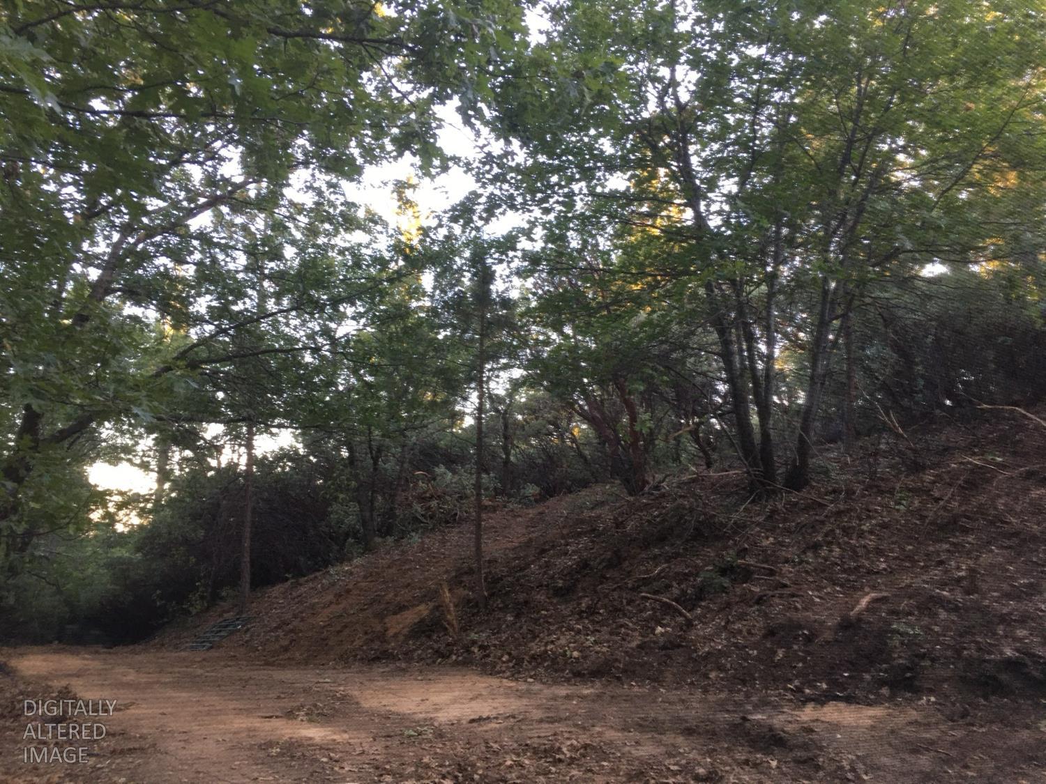 Land in Colfax 2